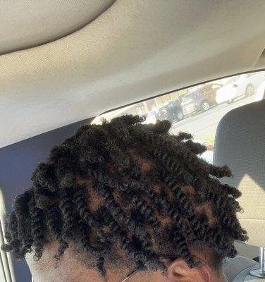 2 strand twist