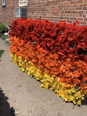 Flower wall for a display