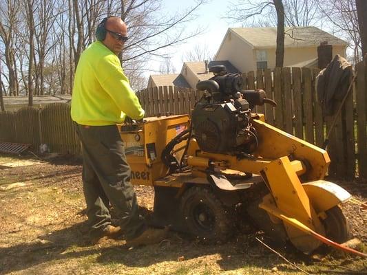 Our Stumpgrinder operator John hard at work as usual