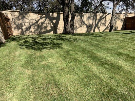 Lawn Control Of Texas