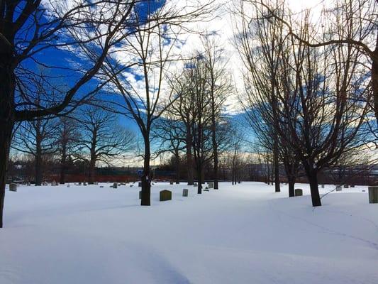 Bennington Street Cemetery - Winter 2014/2015