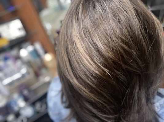 Highlights with mushroom tone