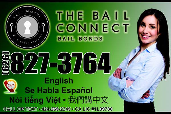 The Bail Connect