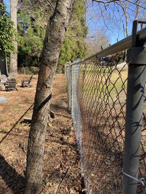 Fence not secure!! Neighbor's pit bull can enter our yard now!