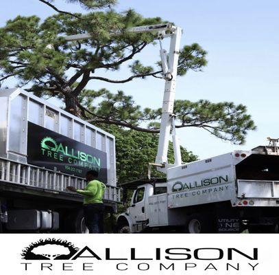 Allison Tree Company