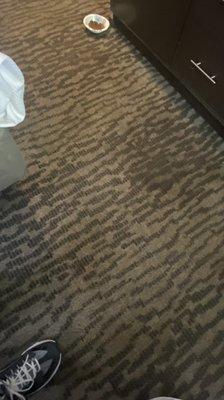 Dirty Carpet