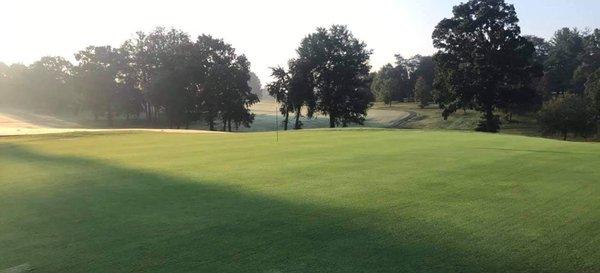 Greens and fairways beautifully maintained!