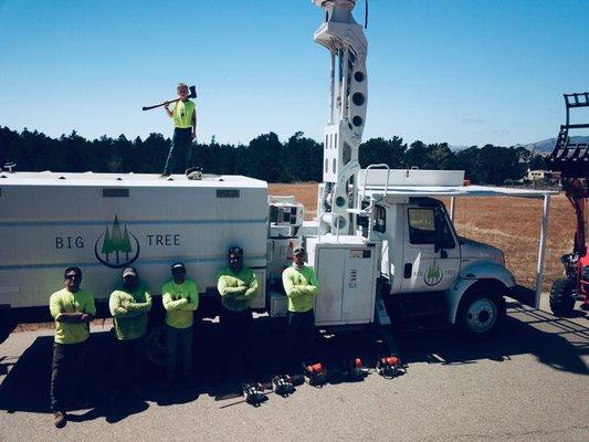 Big Tree Crew