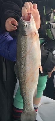 Trout from today's charter