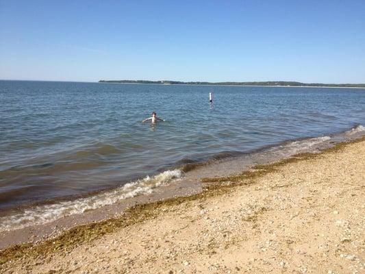 Harris in cold water...