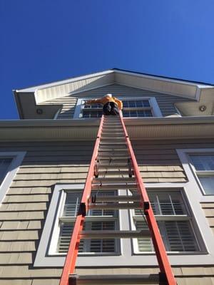 Window Cleaning