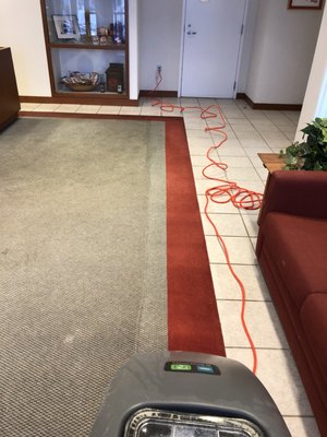 Carpet Extraction