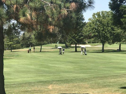 US Women's Amateur Qualifier at Cameron Park CC 2017