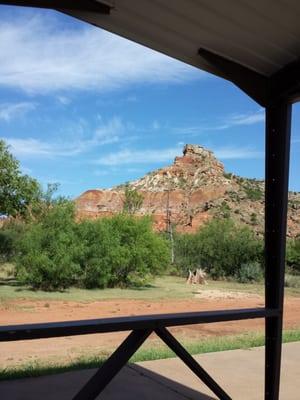 This was a really nice trail ride. The staff was very friendly and helpful.