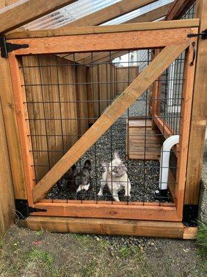 Human entryway to dog run.