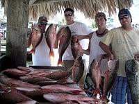 A Great Morning Catch Of
Mutton Snapper While
Bottom Fishing Off Jupiter Florida