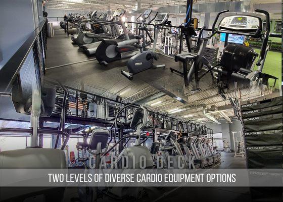 Main floor and second story cardio deck for in action and private experiences