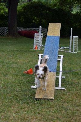 Teeter totter on the outdoor course