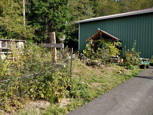 Sweet Pea Farm Produce Stand