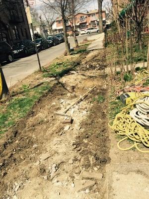 Concrete sidewalk in flushing