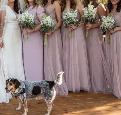 Bridesmaid's bouquets!