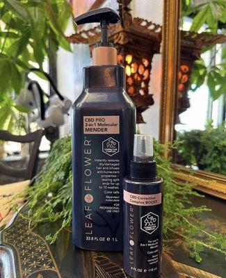 Leaf + Flowers CBD Molecular Mender treatment will give you the healthiest brand new hair instantly