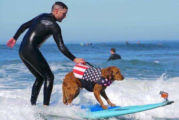 Surf Dog Ricochet - Puppy Prodigies