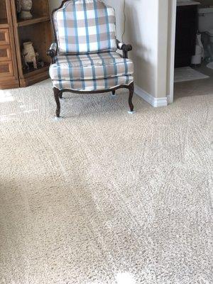 Residential carpet cleaning