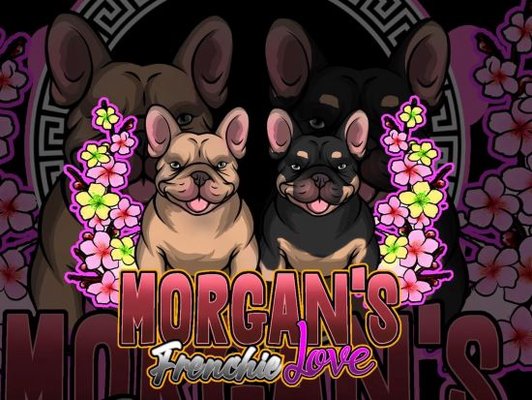 Morgan's Frenchie Love