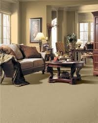 NYC Carpet Cleaning Services