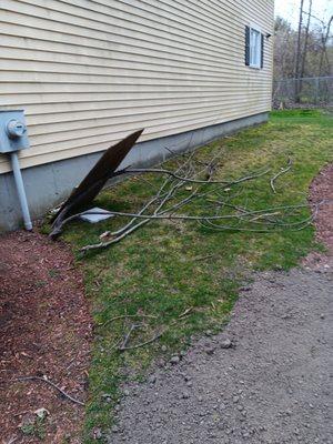 VIP landscaping allowed to leave clean up against my condo