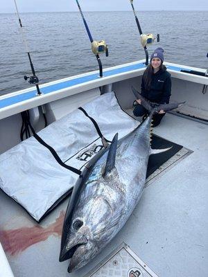 Bluefin tuna