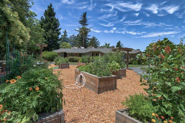 The Community Garden.