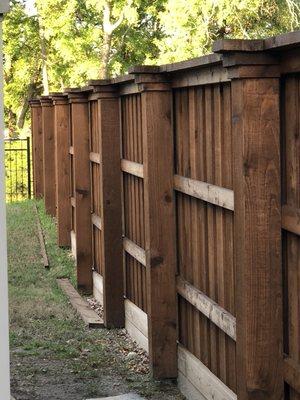 Cedar Fence