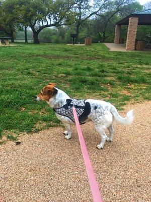 Garrison District Park ~ South Austin, Texas