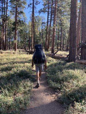 Me, enjoying my Osprey Atmos 65 on the North Rim of the Grand Canyon