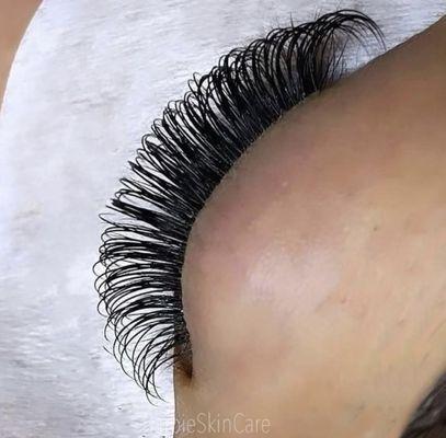 Volume Lashes