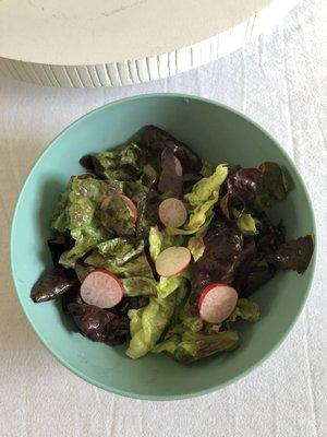 Week One- French Radish , scallions , red lettuce