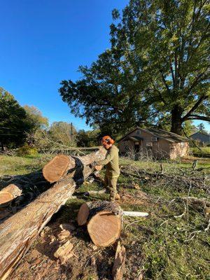 4 Brothers Tree Service