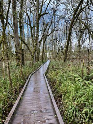 Tualatin Hills Nature Park