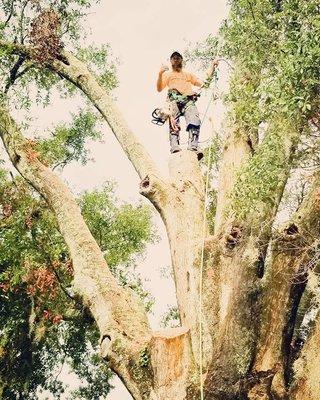 H&D Tree Service