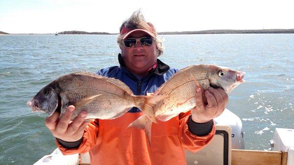 Early Season Porgies