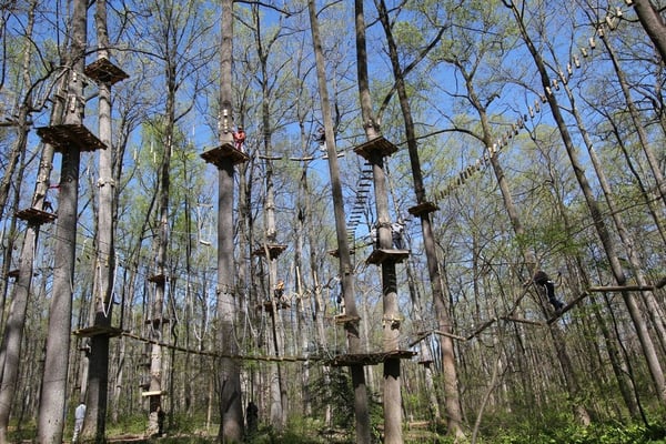 Example of the Ropes Course.