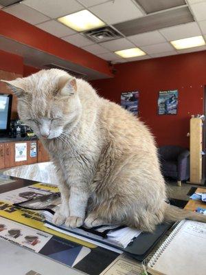 Our shop supervisor