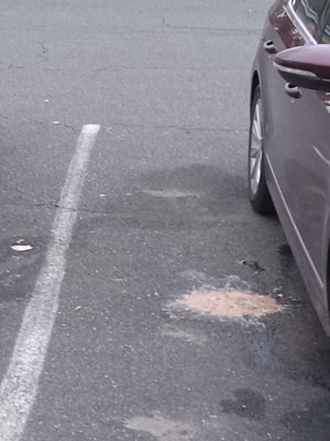 CareOne at Northampton VOMIT in parking lot. Seriously unsanitary!