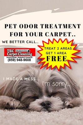 Take Extra Care Carpet Cleaning