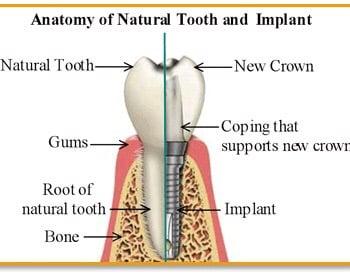 Snyder & Dugan Oral & Maxillofacial Surgery