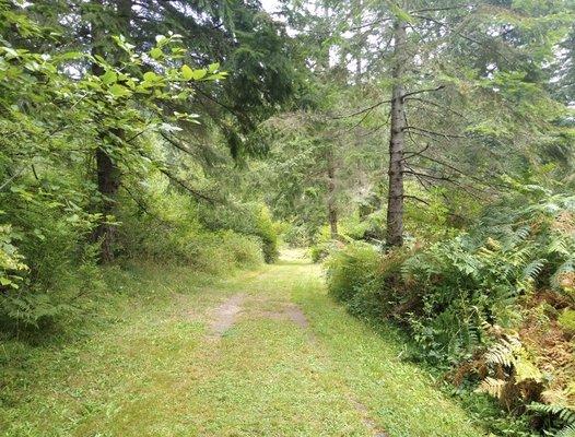 Quiet, serene trail