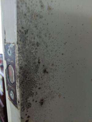 Mold on doors/ walls.