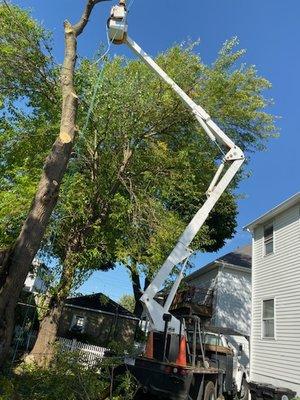 Osorio Landscaping & Tree Service